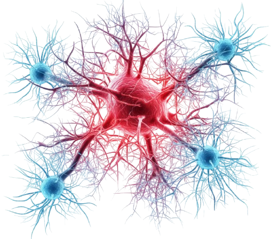 Neural Network Visualization